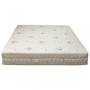 Saltele Pocket Sky Latex